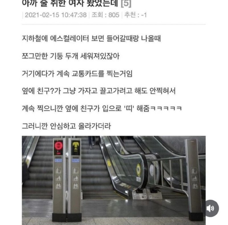 취해도 규칙은 잘 지키는 친구