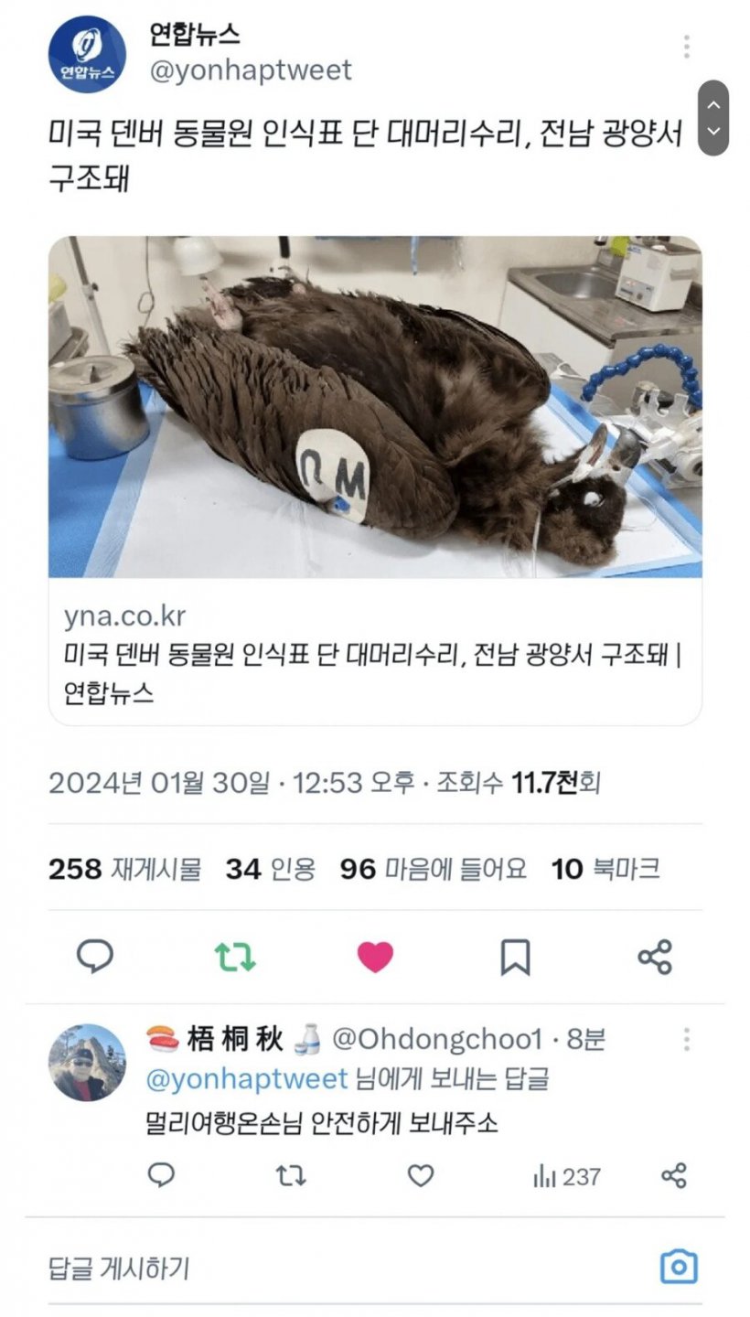 미국 덴버 동물원 소속 독수리, 전남 광양에서 발견 돼...