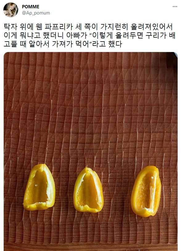 아버지가 탁자.위에 파프리카 세쪽을 놓아둔 이유