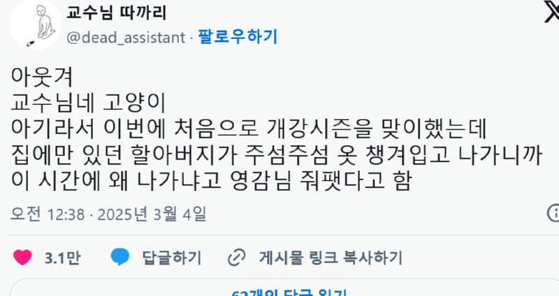 교수님 뚜까패는 아기냥이래