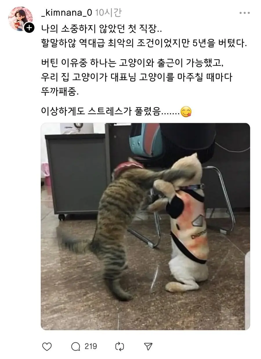 좆같은 직장에서 5년을 버틸수 있었던 이유.jpg