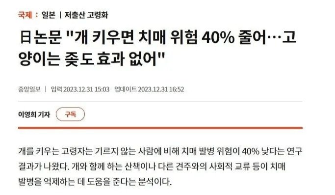 개키우면 치매 예방 효과 40% 고양이는..