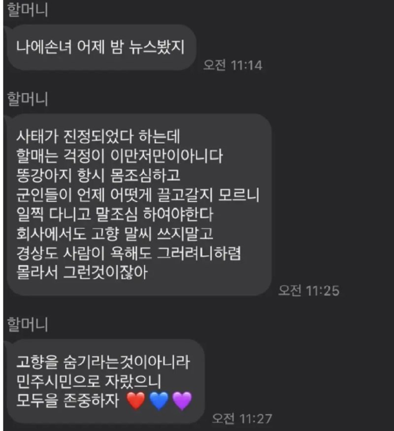 이번 계엄 사태에 광주 할머니가 서울 사는 손녀에게