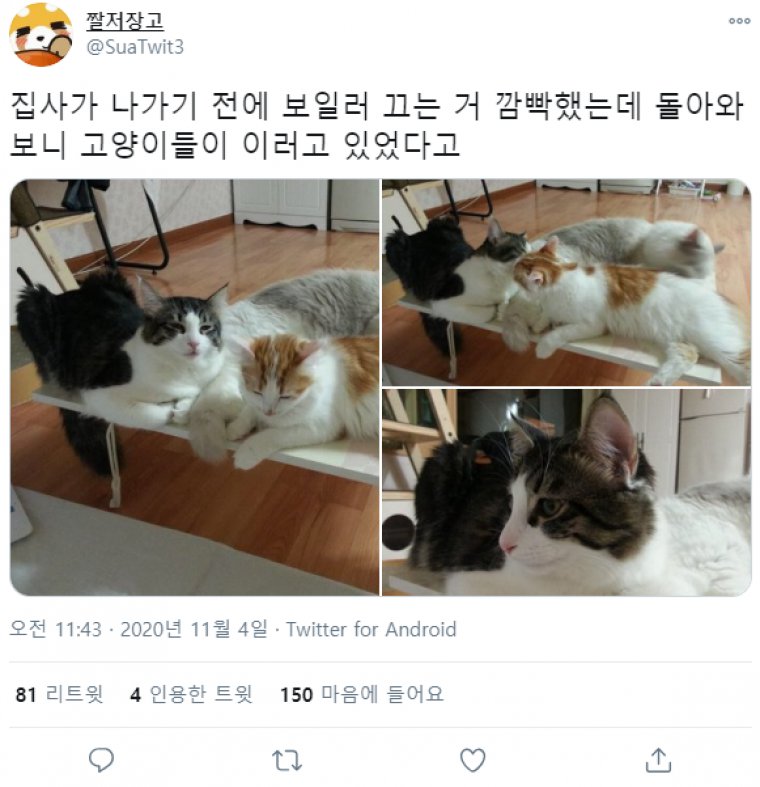 보일러 끄고 나가는 걸 깜박한 집사