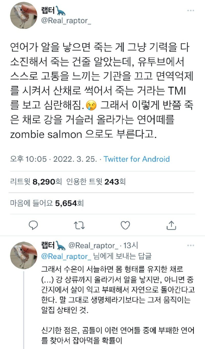 연어가 알을 낳으면 죽는 이유.jpg