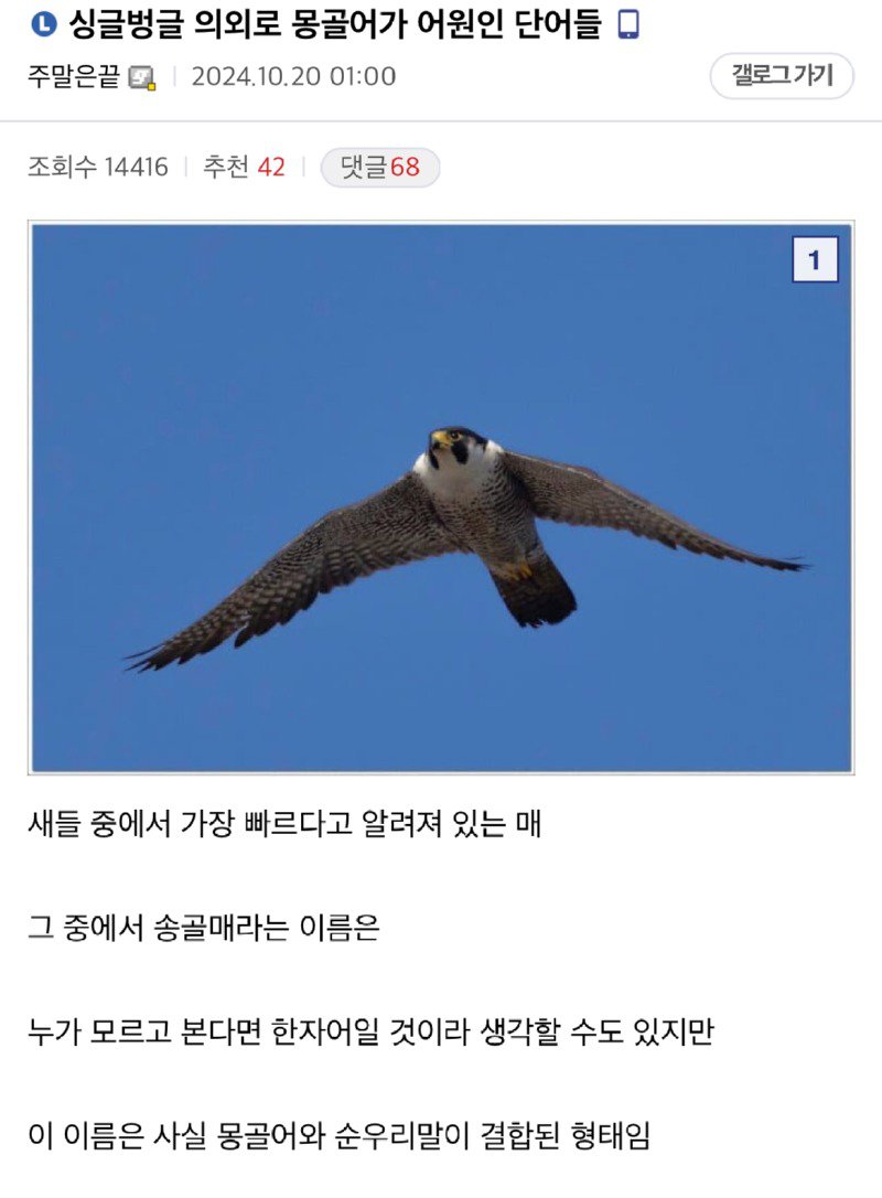 몽골어가 어원인 단어들.jpg