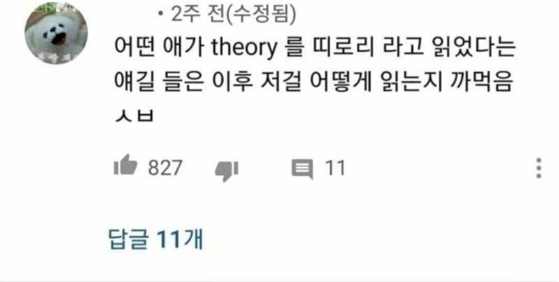 theory 어떻게 읽는지 까먹음