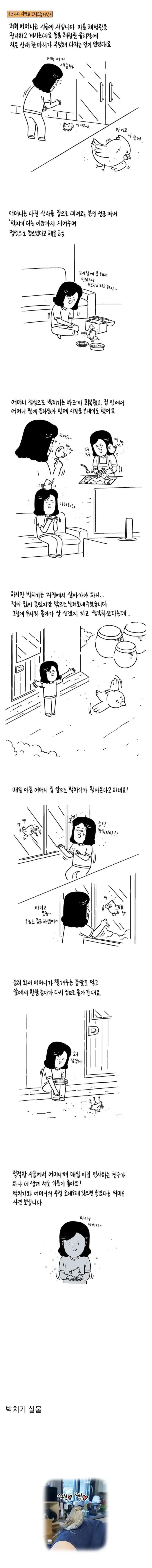 쓰러진 산새를 발견한 산골 어머니.manhwa