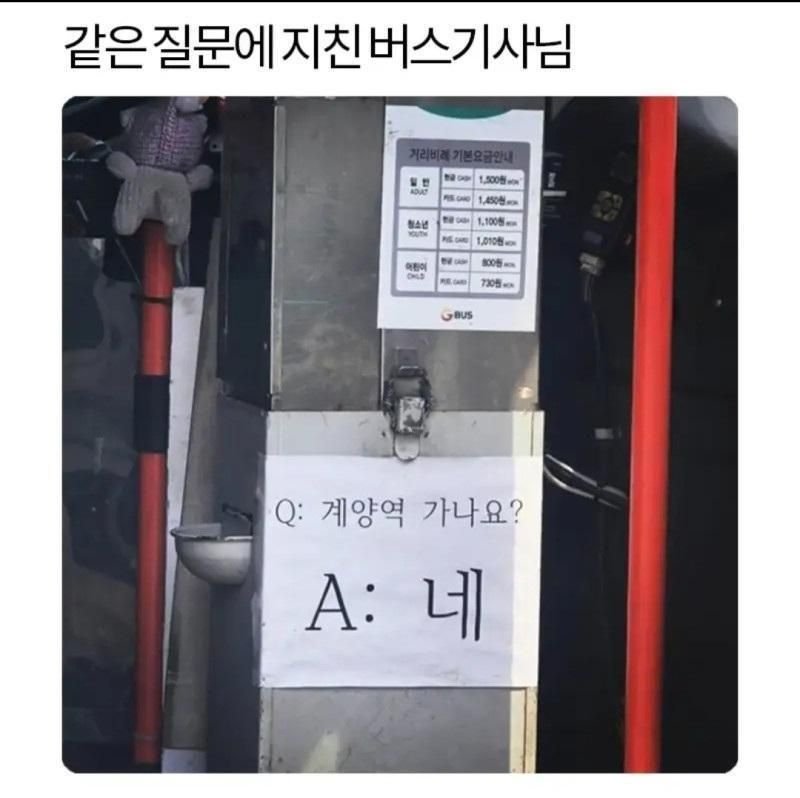 같은 질문에 지친 버스 기사님