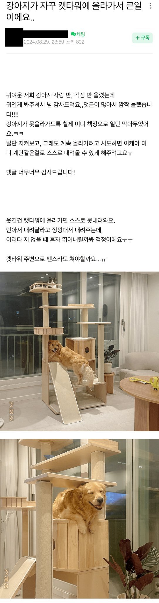 올라가기만 할 줄 알고 내려올 줄 모르는 지가 고양인 줄 아는 강아지