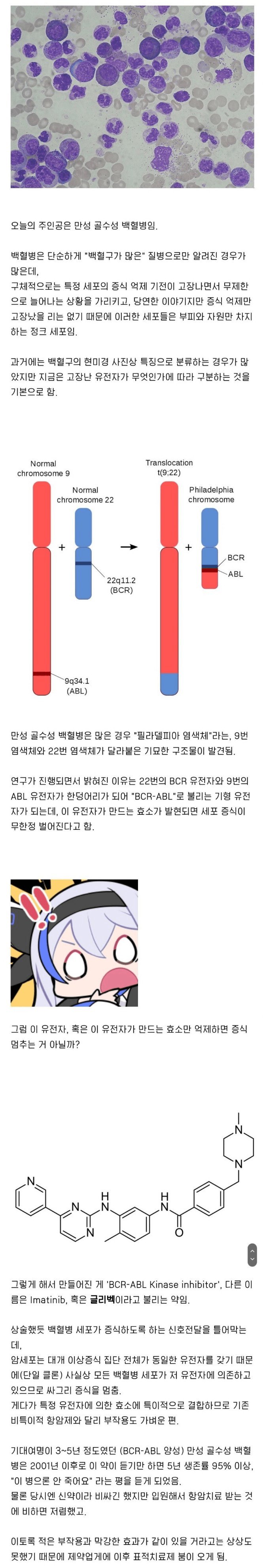 요즘 백혈병 주인공 드라마가 줄어든 이유 .jpg