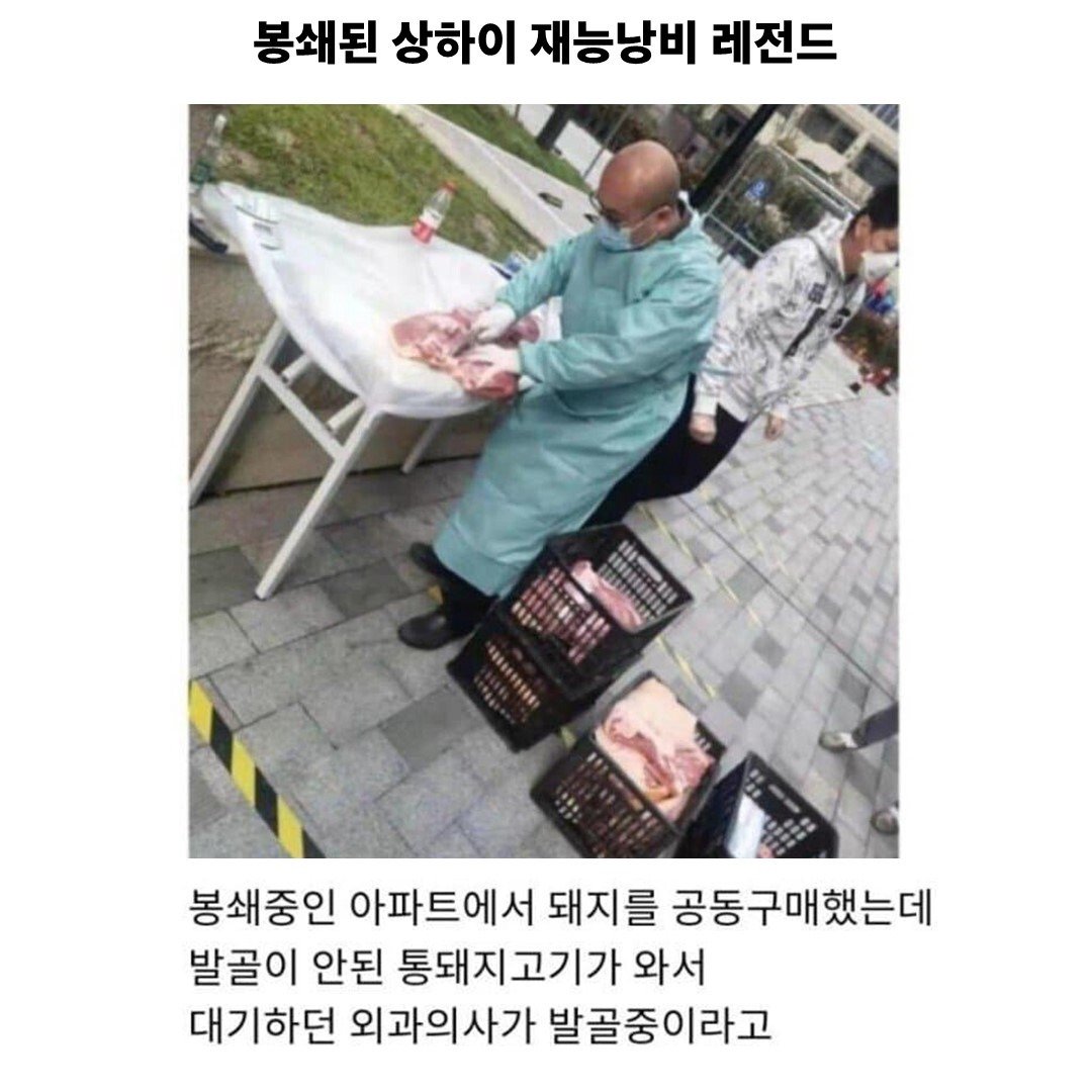 재능낭비 갑