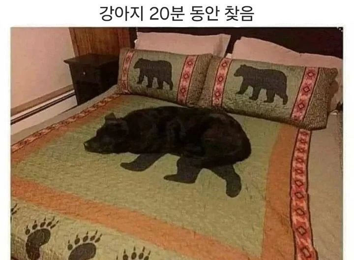 강아지를 한참동안 찾은 주인