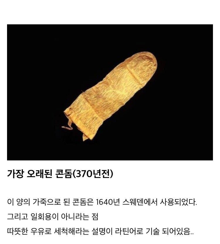 가장 오래된 물건들 ㄷㄷ