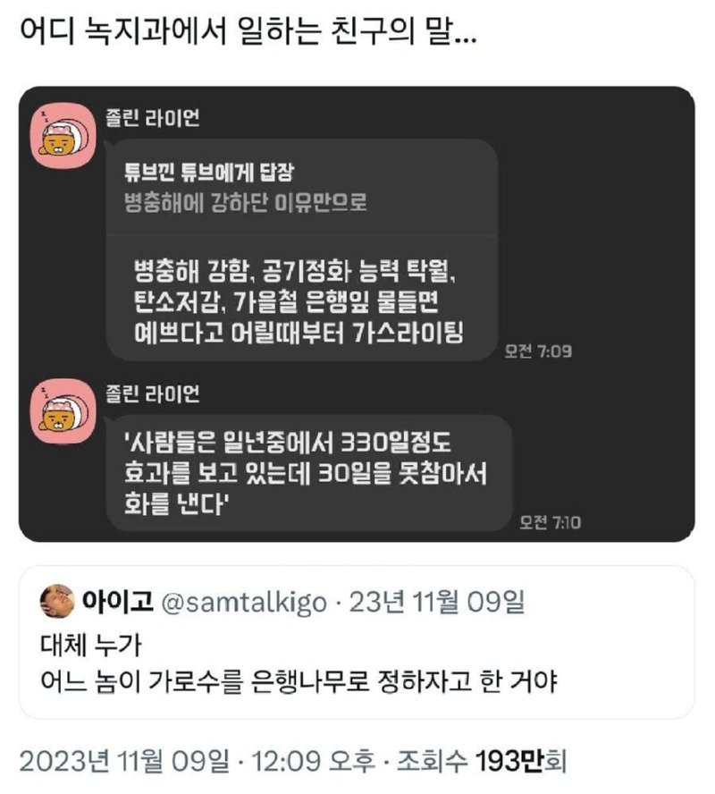 한국 왜이리 은행나무 많은거야