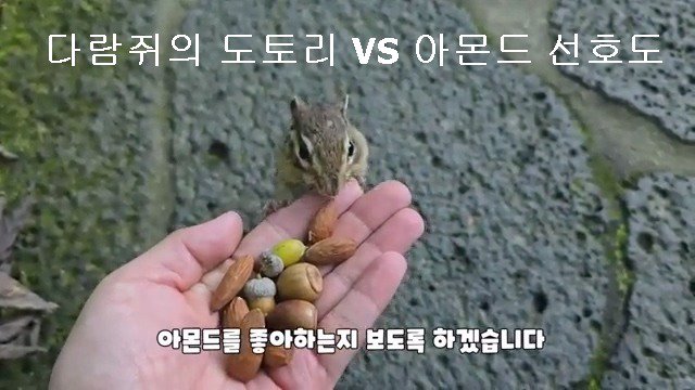 다람쥐의 도토리 vs 아몬드 선호도