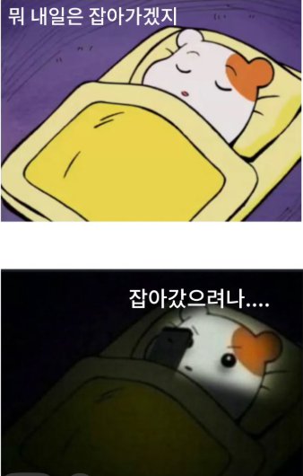 요즘 국민들 잠들기 전 습관