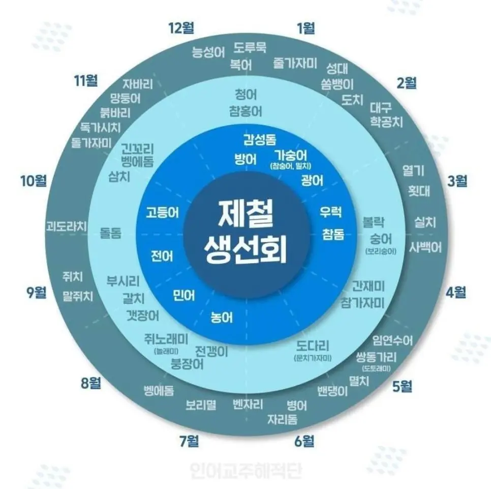 제철 생선회 쉽게 알아두기