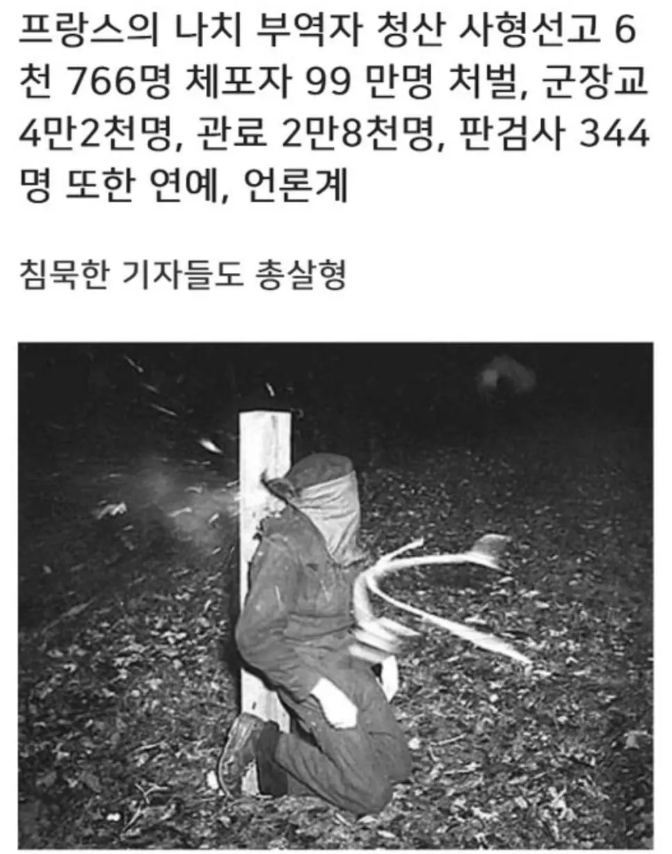 프랑스의 나치 부역자 청산