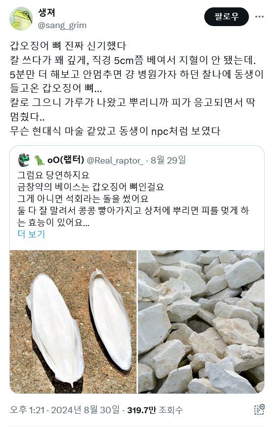 금창약(갑오징어 뼈)의 함정