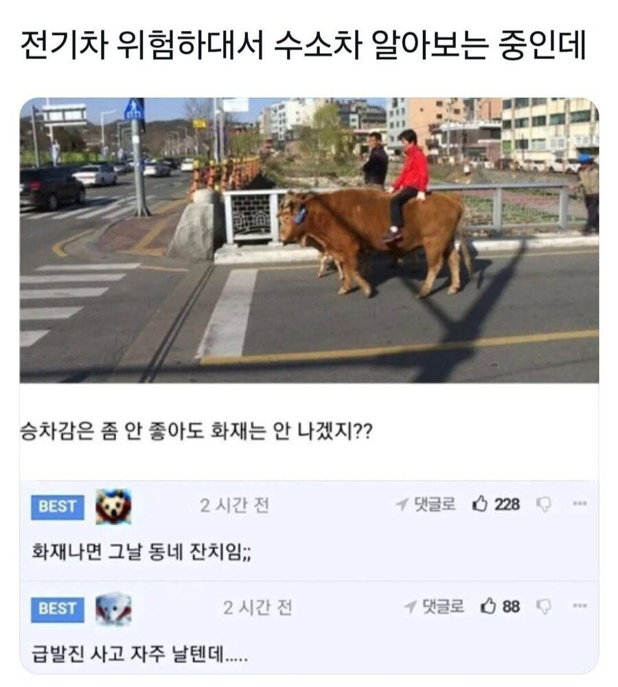 유머)전기차 위험하대서 수소차 알아보는 중인데...