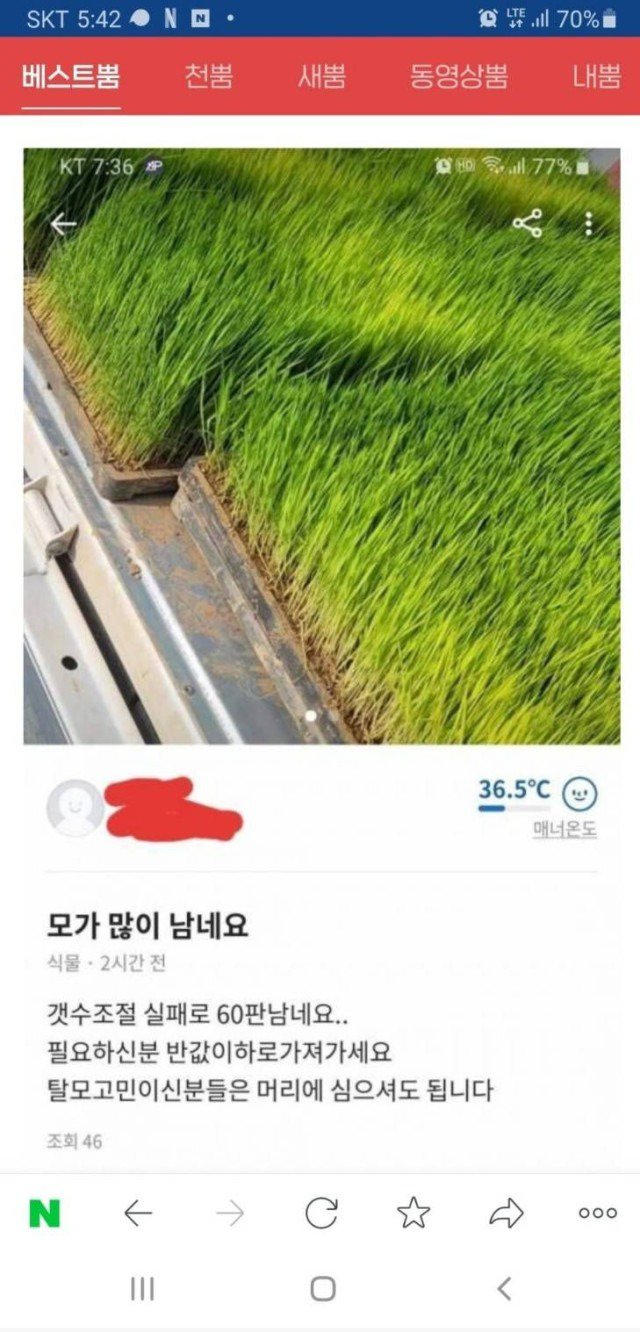 당근마켓 선 많이 넘은 판매자.jpg