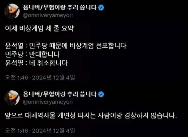 비상 계엄을 바라보는 어느 웹소설 작가