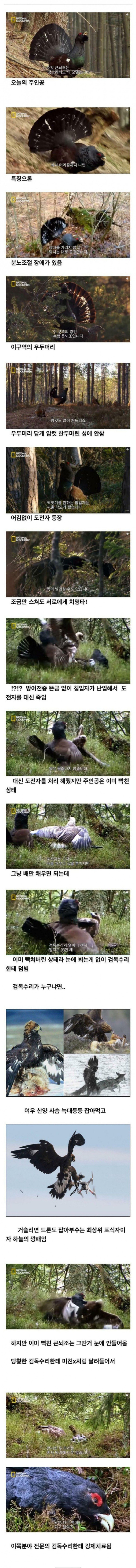 분노조절치료