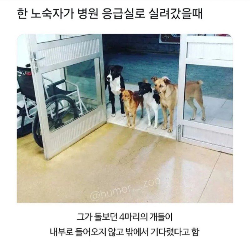 노숙자가 병원 응급실에 실려갔을때.jpg