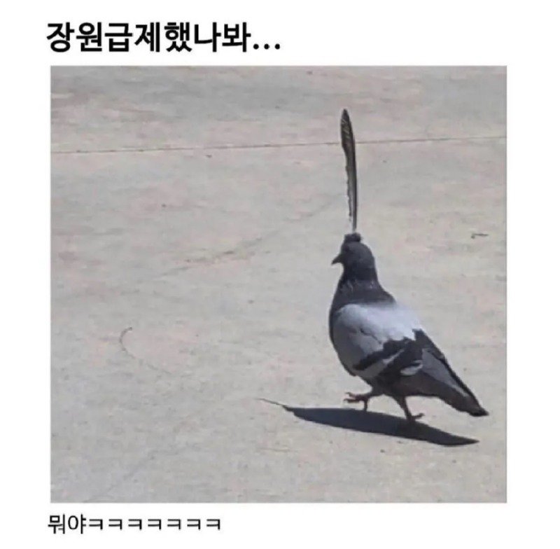 춘향아 기다려라! 내가 곧 갈게!