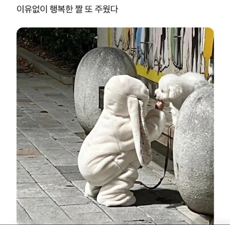 이유없이 행복해지는 짤.jpg