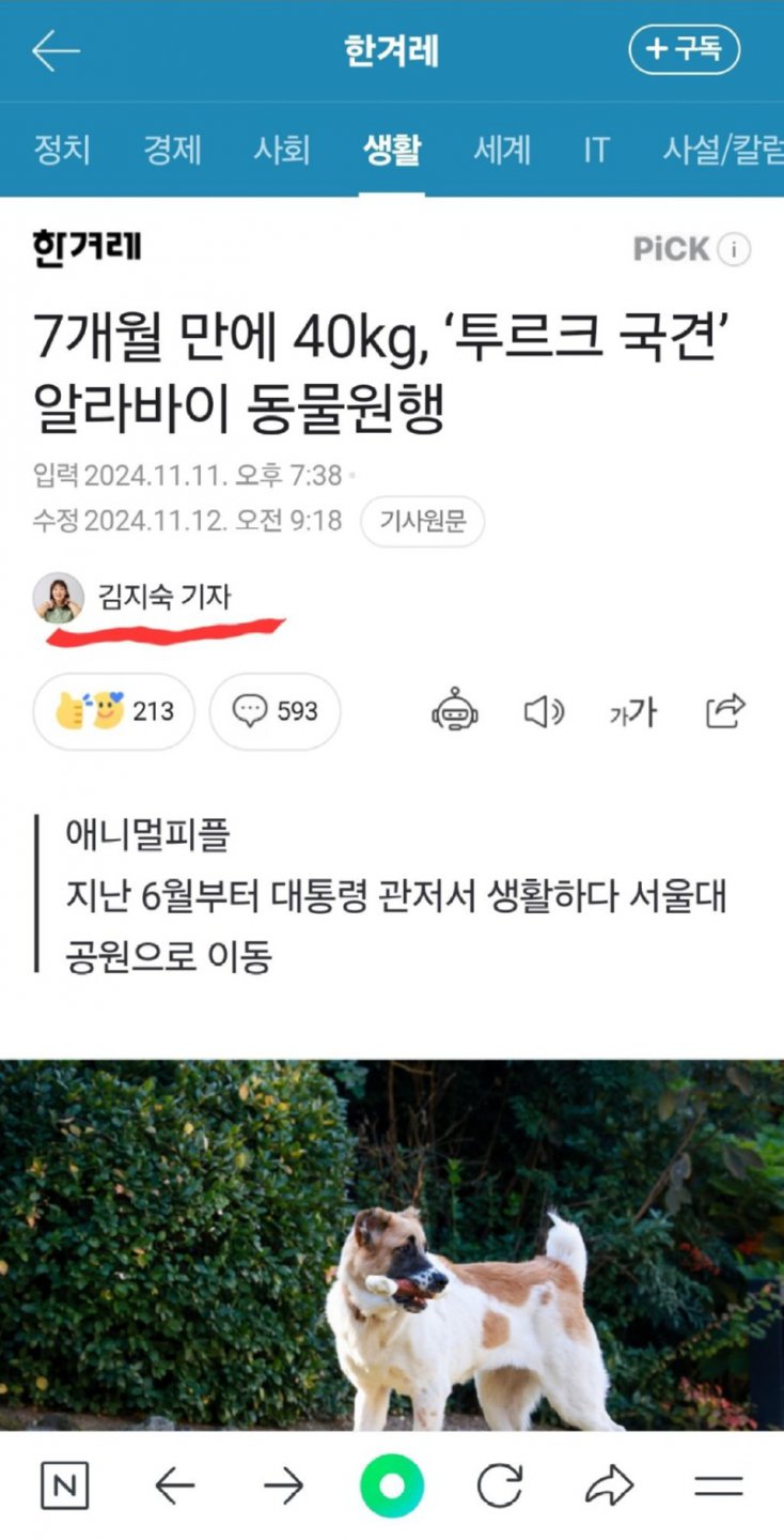 그 땐 버림 받았고 지금은