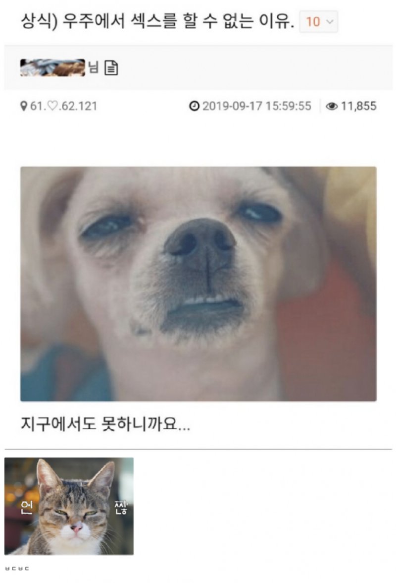 우주에서 ㅅㅅ 를 할수 없는 이유