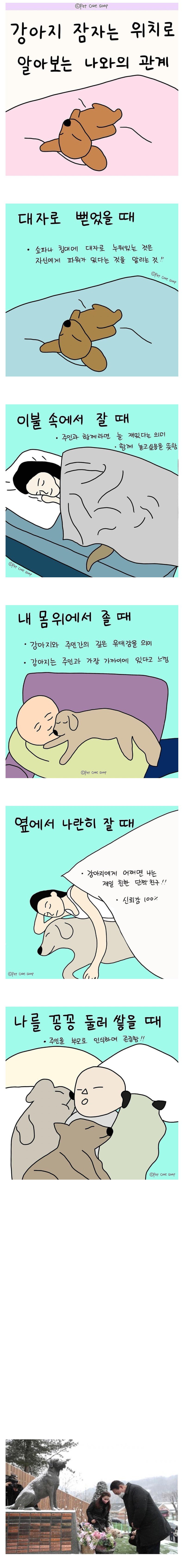 강아지 잠자는 위치로 알아보는 나와의 관계