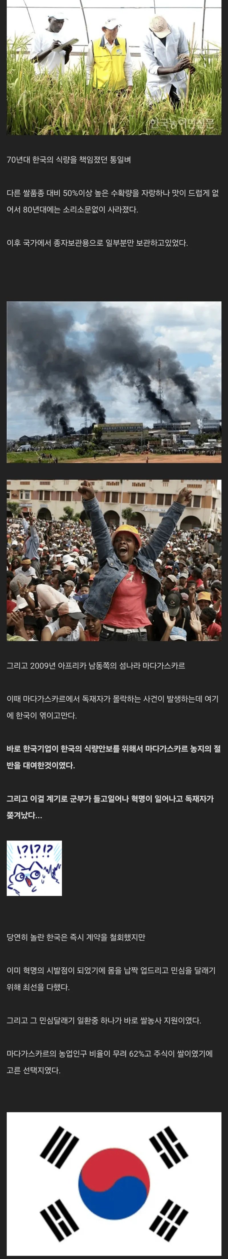 통일벼의 아프리카 정착기