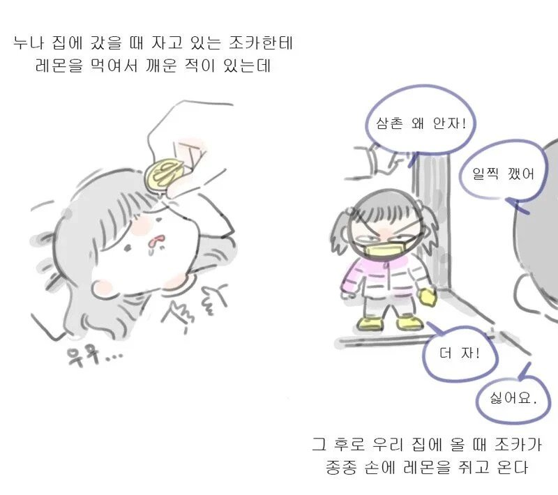 레몬과 조카