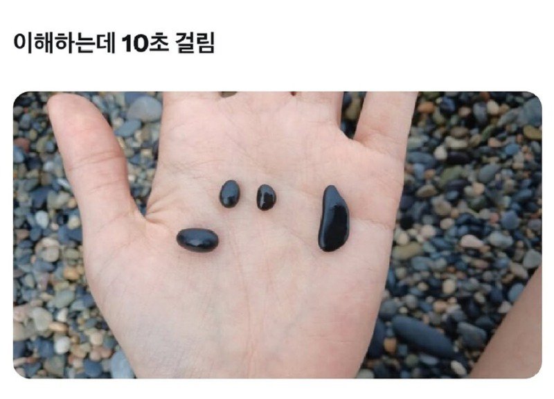 당신은 이 사진을 이해할 수 있습니까?.JPG