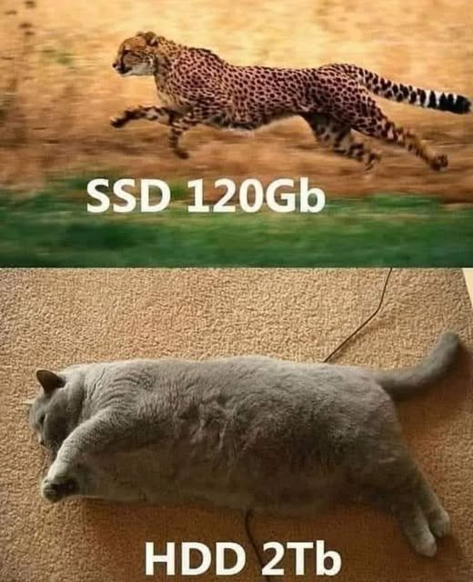 SSD vs HDD