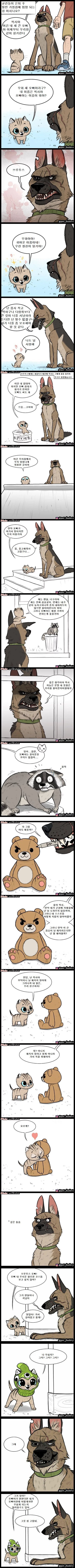 은퇴한 군견과 애기고양이 만화