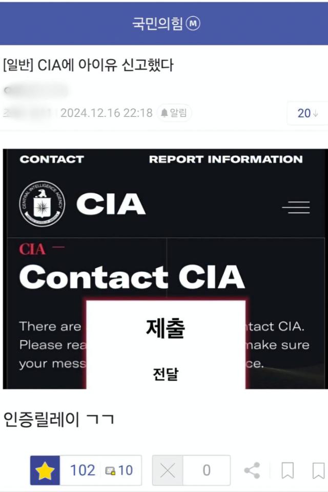 16일 온라인 커뮤니티 디시인사이드 국민의힘 갤러리에 아이유를 CIA에 신고했다는 글이 올라왔다. 디시인사이드캡처