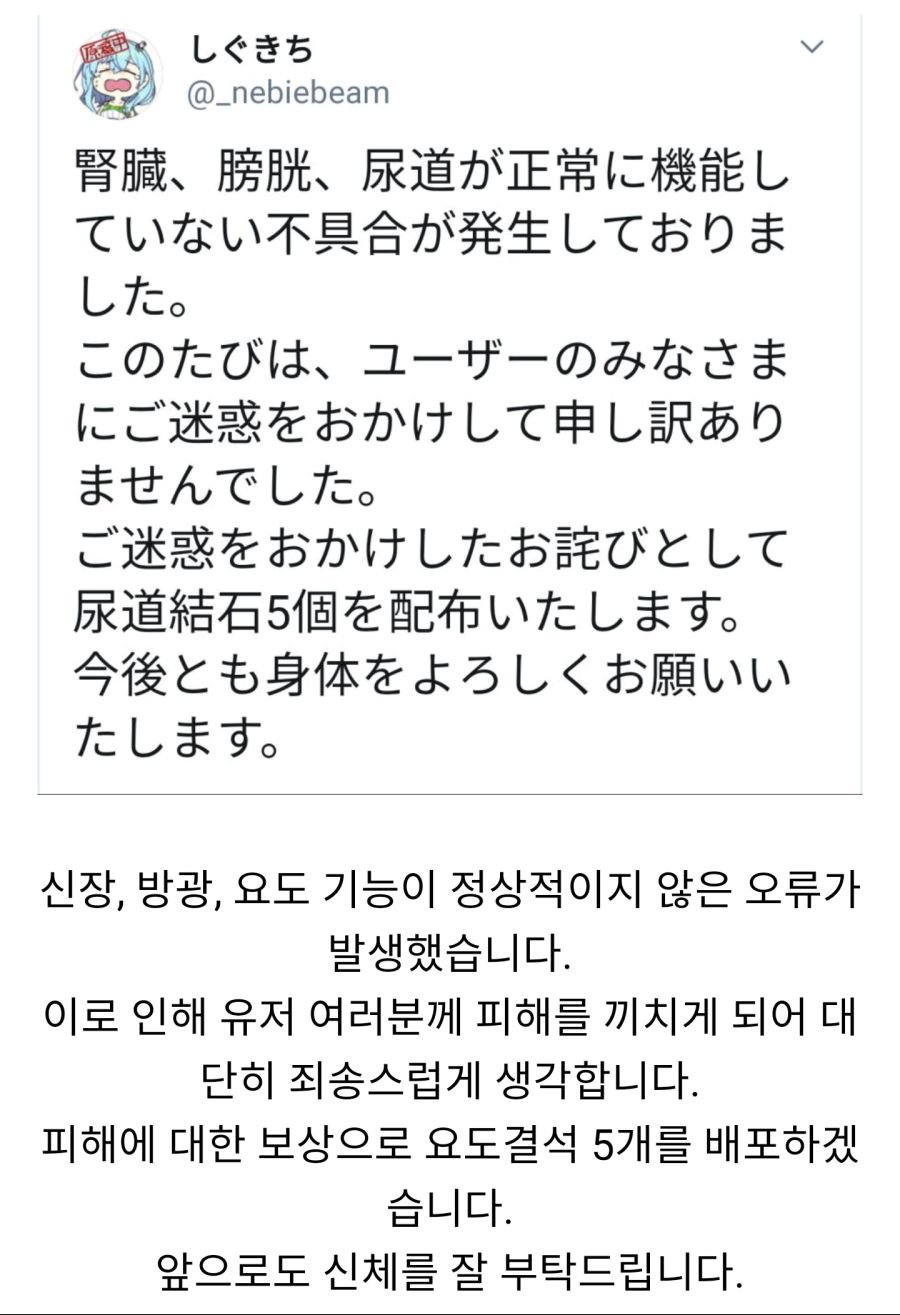 기능 오류보상 공지