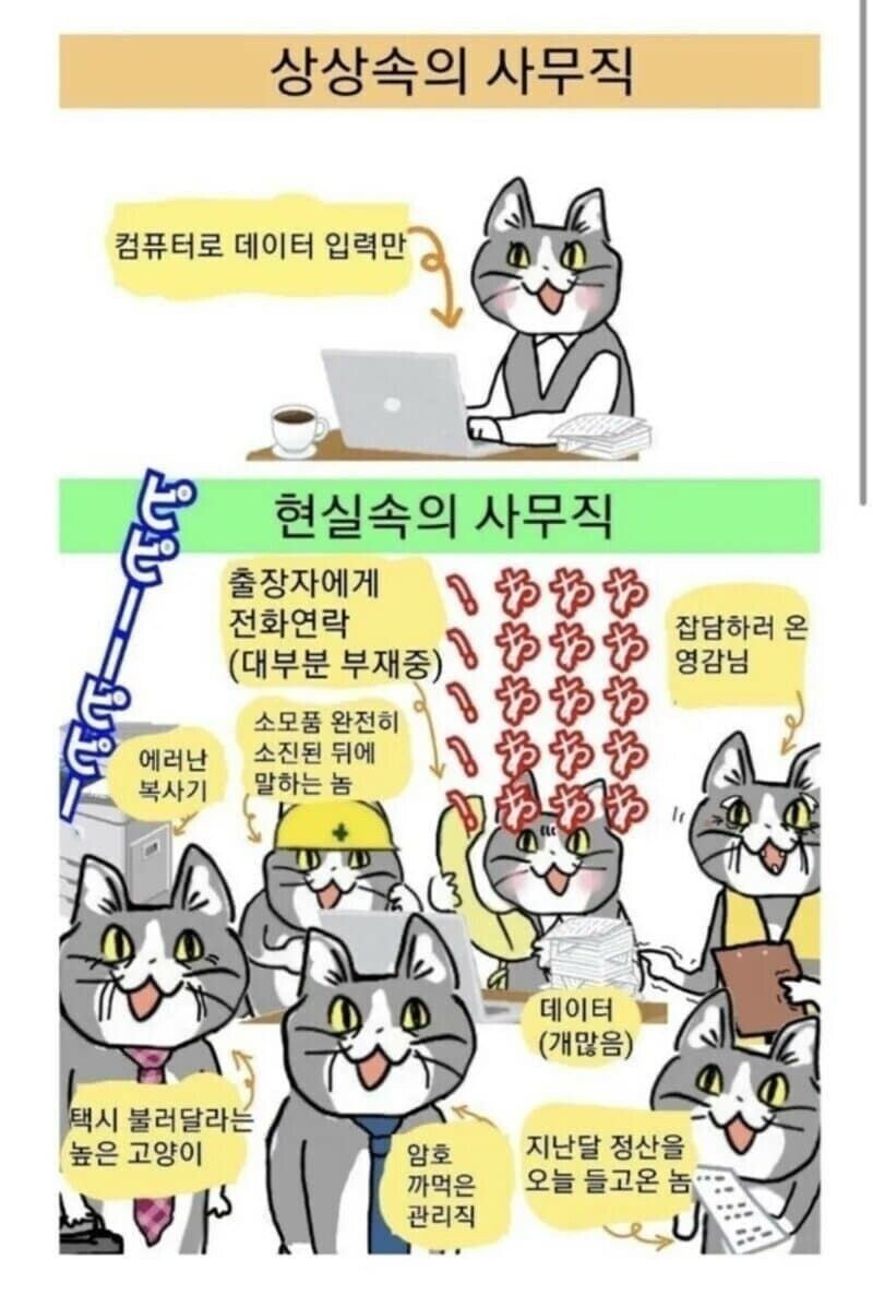 중소기업 사무직의 현실