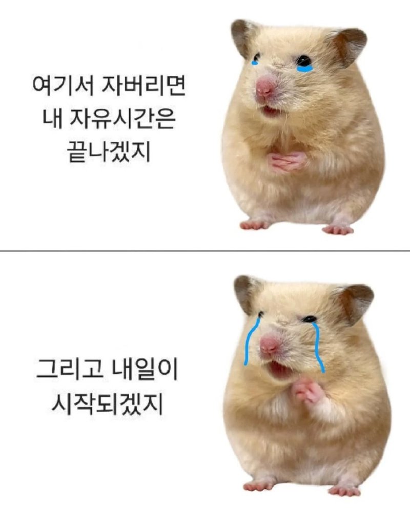 의사들이 권장하는 10시 전 수면이 불가능한 이유