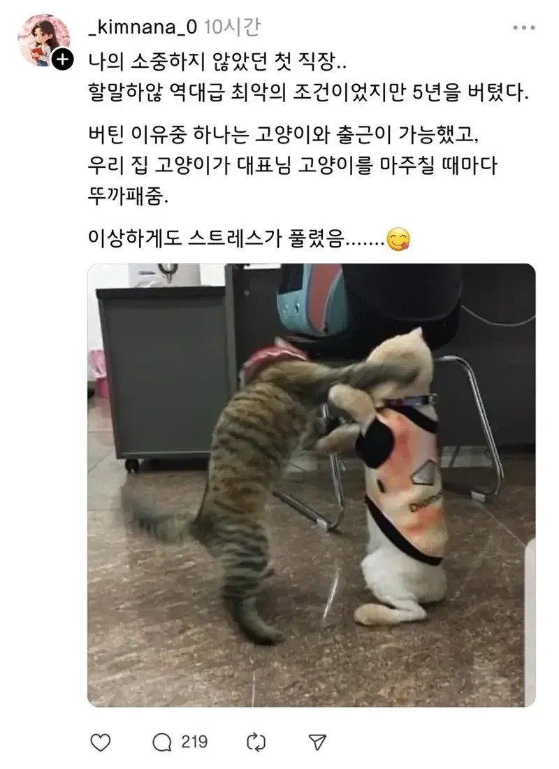 최악의직장에서버틴원동력.jpg