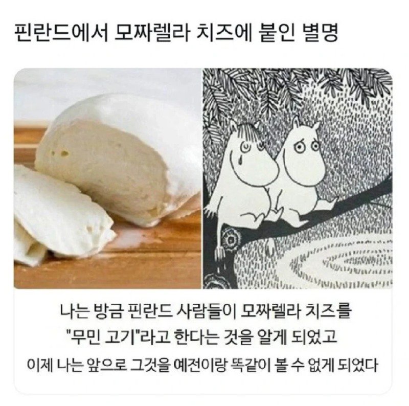 핀란드 사람들이 모짜렐라 치즈에 붙인 별명.jpg