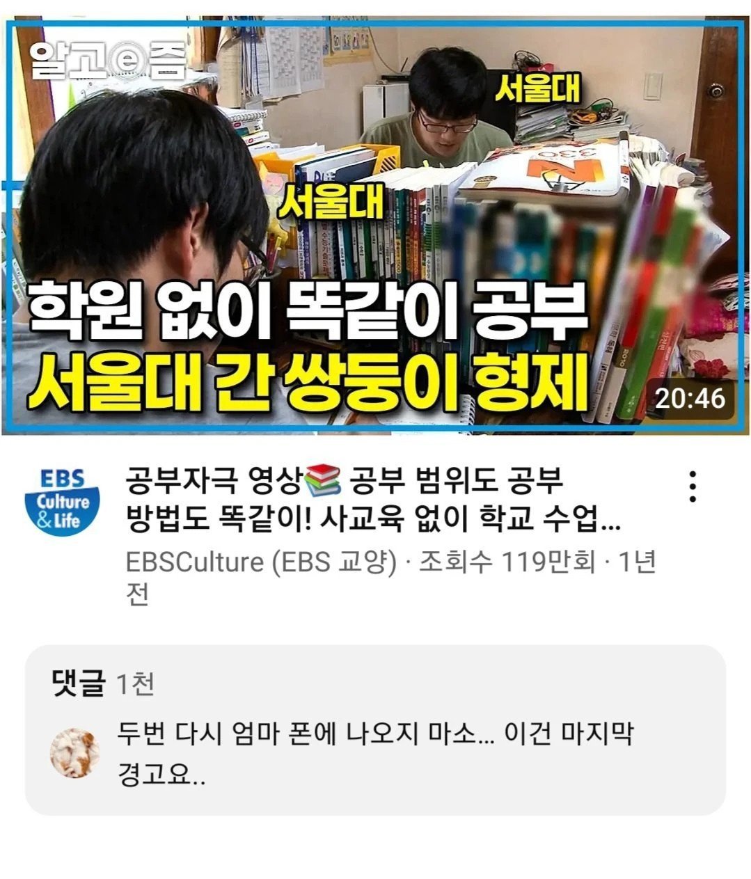 학원 없이 서울대 간 쌍둥이들을 향한 경고