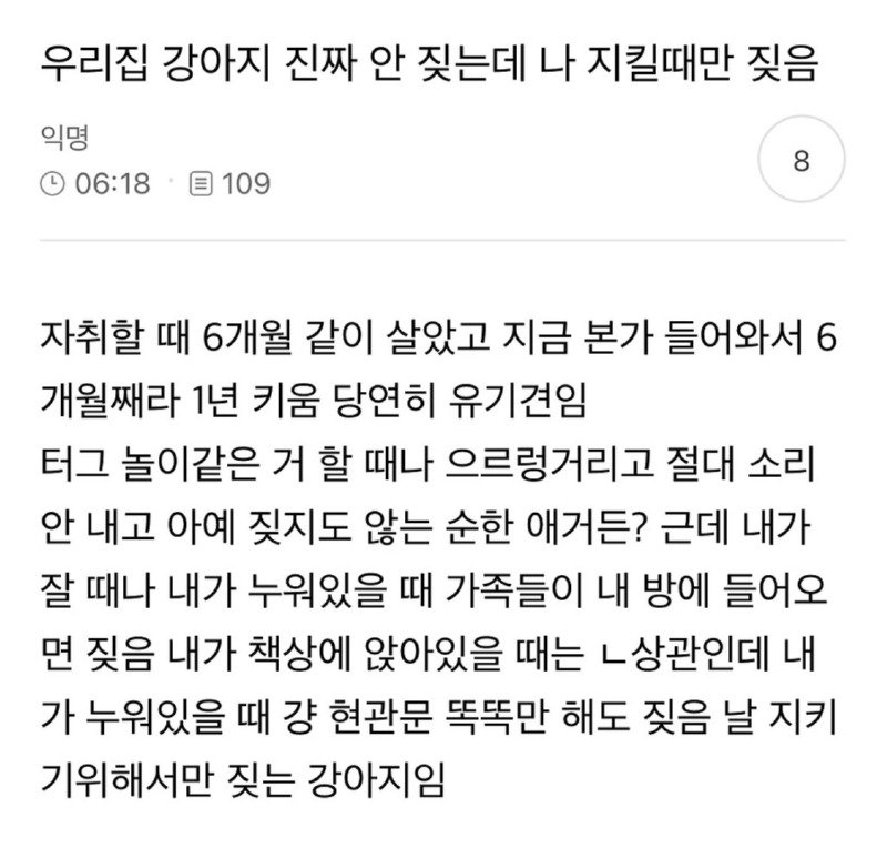 우리집 강아지 안 짖는데 나 지킬때만 짖음