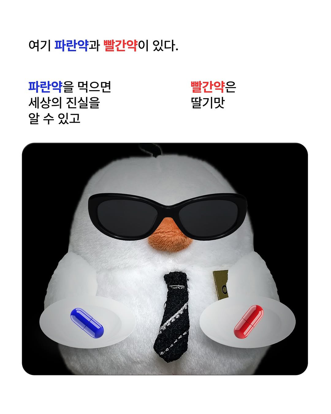 파란약과 빨간약, 당신의 선택은?