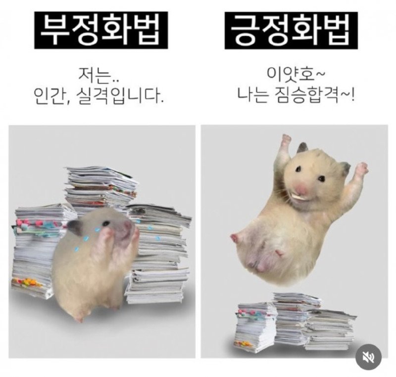 오늘은 자신에게 긍정화법을 써보세요.