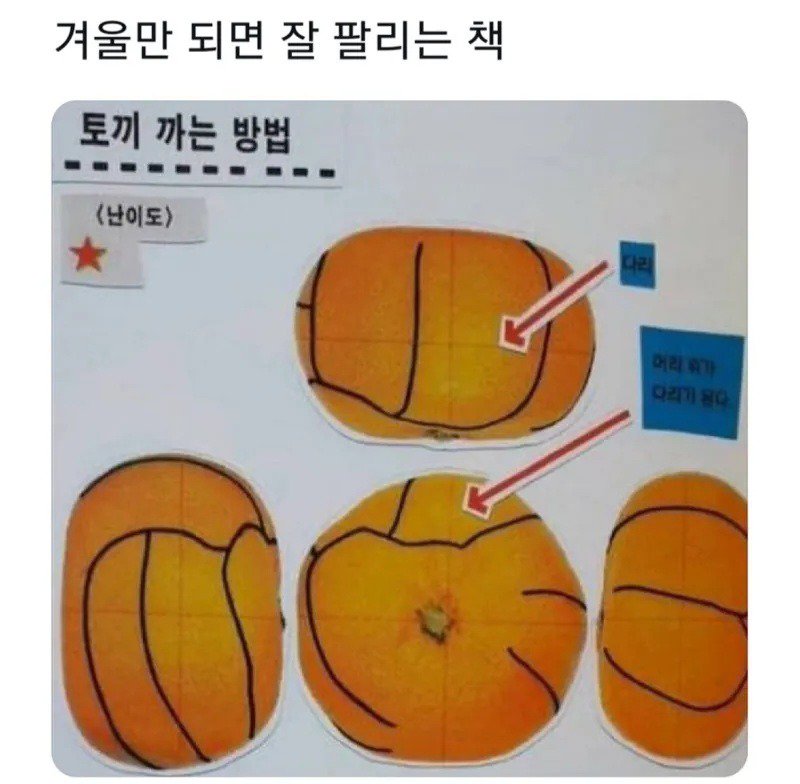 겨울만 되면 잘팔리는 책